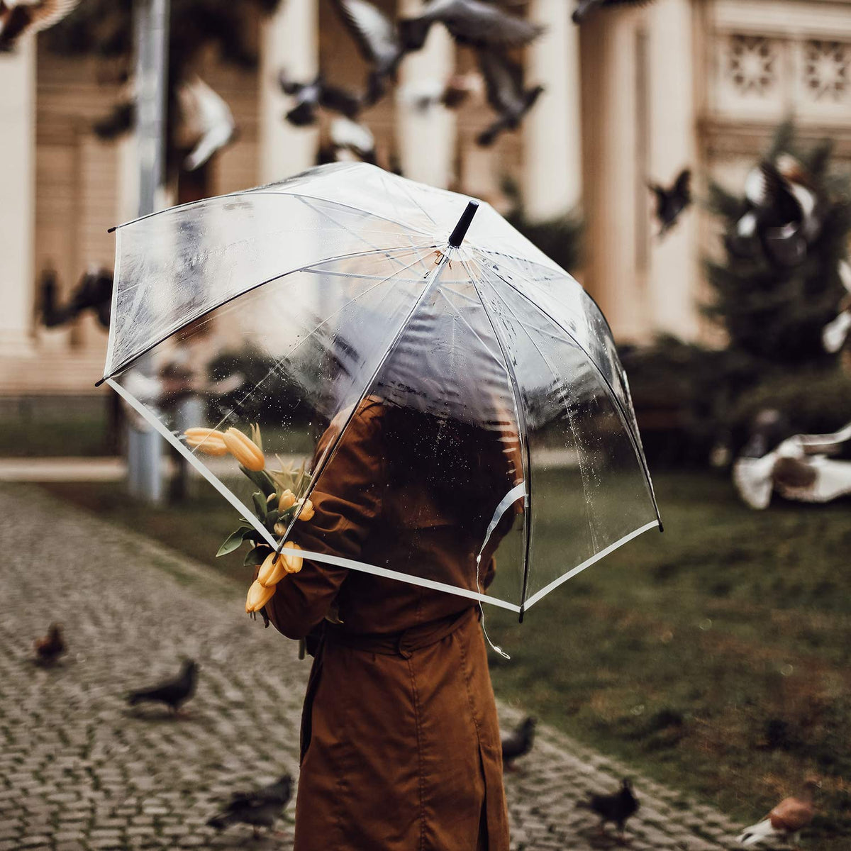 G4Free Activewear - G4Free 62 Inch Clear Golf Umbrella Transparent Auto Open Large Stick Umbrella -D02V733A-D02V723A