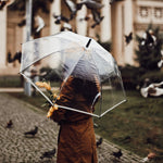 G4Free Activewear - G4Free 62 Inch Clear Golf Umbrella Transparent Auto Open Large Stick Umbrella -D02V733A-D02V723A